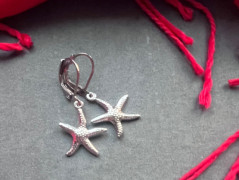 Lístečkové náušnice - S.Steel