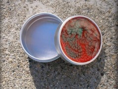 Krajková sukénka no.2