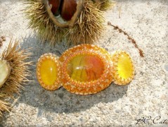 Krajková sukénka no.2