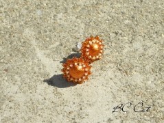 Krajková sukénka no.2