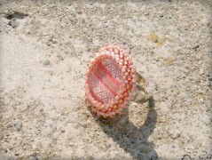 Krajková sukénka no.2