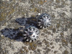 Krajková sukénka no.2