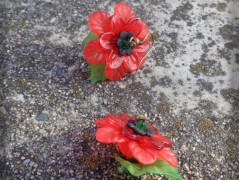 Krajková sukénka no.2