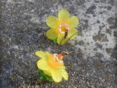 Krajková sukénka no.2