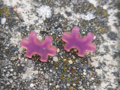 Krajková sukénka no.2