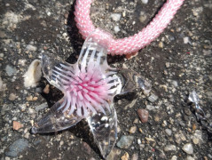 Krajková sukénka no.2