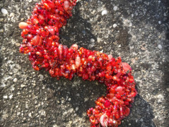 Krajková sukénka no.2