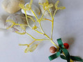 Žluté jmelí střední - korálkové